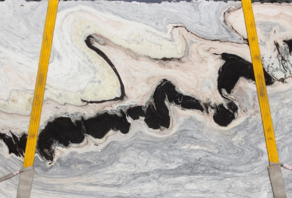 DALMATA_DW659_25_B DALMATA_DW659_25_B